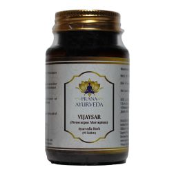 Vijaysar Ayurvedic Tablets (Pterocarpus Marsupium) - 90 tablets of 500mg each